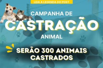 CASTRAÇÃO GRATUITA PARA 300 ANIMAIS DA CIDADE 
